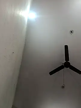 Appypie online show from 11.30.25