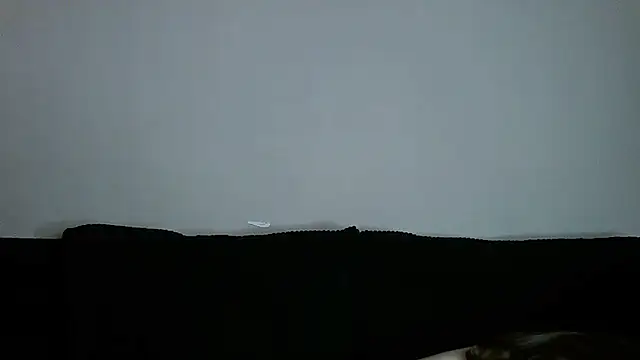   Leyla   online show from 11.19.25