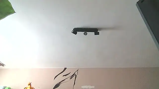   Leyla   online show from 01.12.26