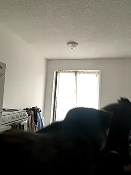 Snapshot of inked_nekoo chatting on 12.03.25 inked nekoo online show from 12.03.25