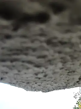 AnanyaKapoor89 online show from 11.09.25