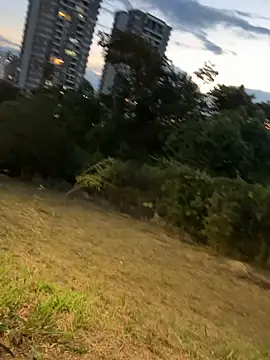 evelyn 1702 online show from 10.28.25