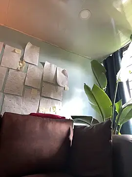 Canneela online show from 03.11.26