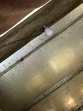 han-cute online show from 11.24.25