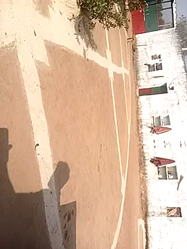 Sheema tyagi online show from 12.04.25