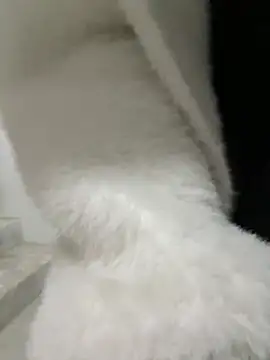 Cumonmme online show from 01.18.26