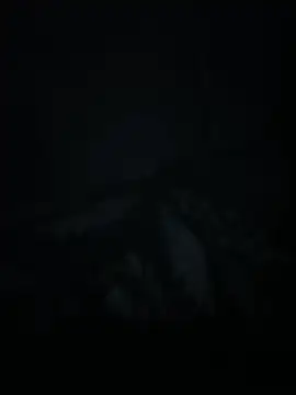xxminou online show from 07.02.26