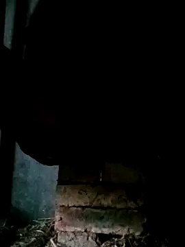 NegroArg 22 online show from 10.02.25