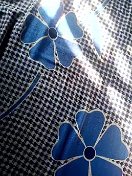 Renuka GG online show from 11.04.25