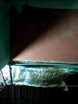 Snapshot of Hot-honi chatting on 10.07.25 Hot-honi online show from 10.07.25