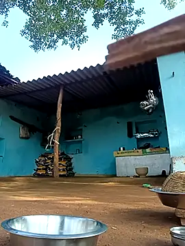 Snapshot of Hot-honi chatting on 11.02.25 Hot-honi online show from 11.02.25