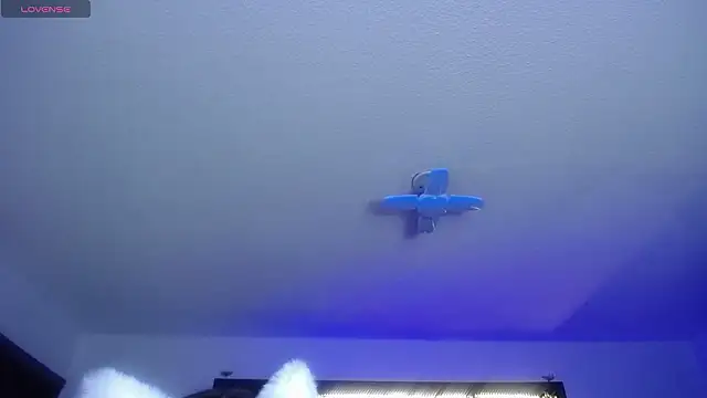  Charlotte Collins  online show from 02.17.26