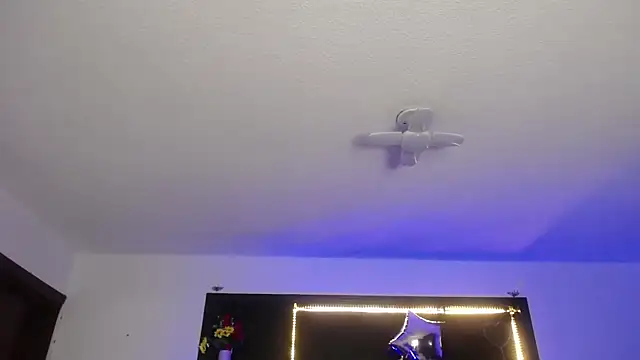  Charlotte Collins  online show from 03.04.26