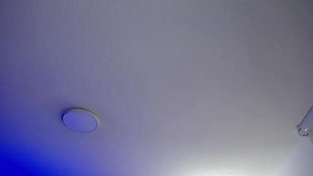  Charlotte Collins  online show from 05.20.26