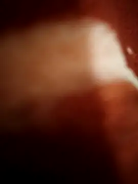 sexy  girls98 online show from 11.08.25