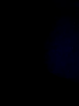 Snapshot of hisandhers4u chatting on 03.02.26 hisandhers4u online show from 03.02.26