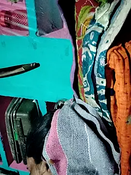 Pooja750 online show from 11.07.25