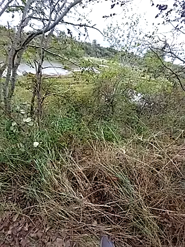 Snapshot of slaveman4you chatting on 09.18.25 slaveman4you online show from 09.18.25