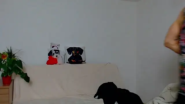 ZeinMiracles online show from 11.29.25