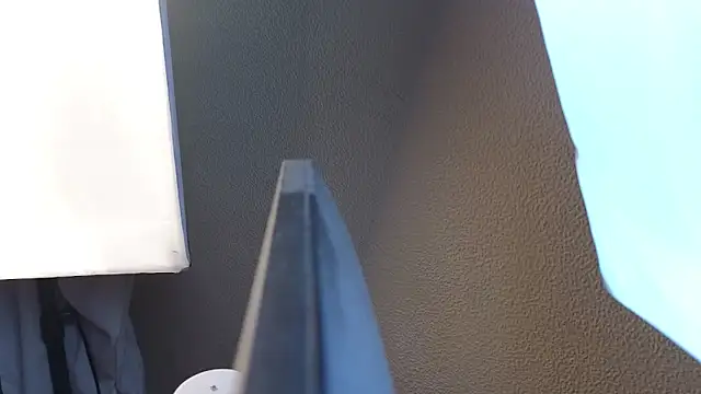 Vina Vision online show from 11.30.25