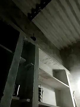 Payal950 online show from 11.08.25