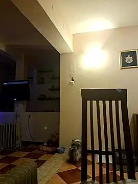 Margarita2500 online show from 01.11.26