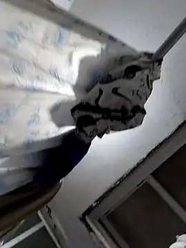 Exotic19cm online show from 11.10.25