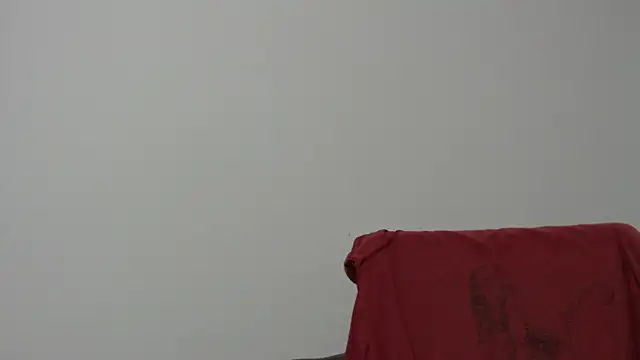 Rocky Muscle online show from 02.05.26