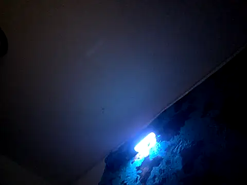 Bigdickdavis6969 online show from 02.15.26