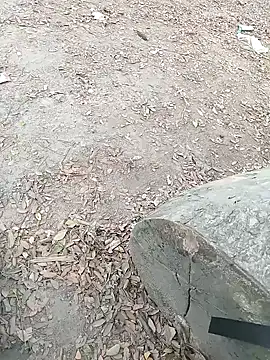 Dasdhon online show from 11.18.25