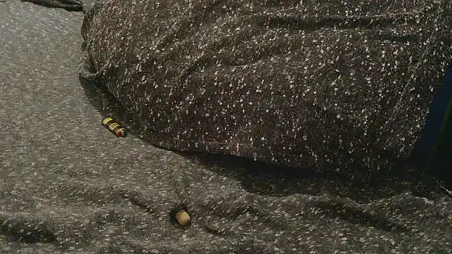 Gmajor online show from 04.11.26