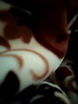 Hot pooja55 online show from 02.11.26