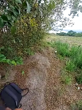 magraocam online show from 11.06.25