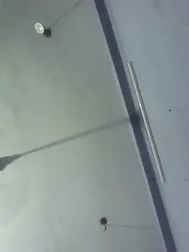 Snapshot of GirlsCrush_ chatting on 09.29.25 GirlsCrush  online show from 09.29.25