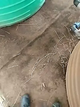 BigboyDick2 online show from 10.20.25