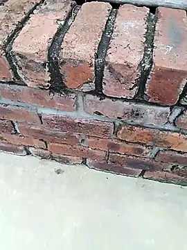 BigboyDick2 online show from 11.14.25