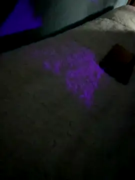 disvla online show from 11.22.25