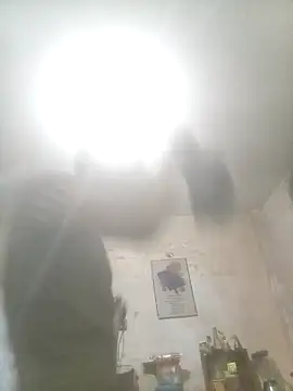 Bebicho14 online show from 11.14.25