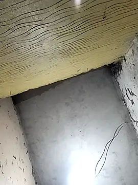 Bebicho14 online show from 04.01.26