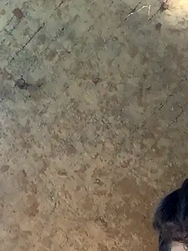 uniquesexyboy5689 online show from 11.27.25