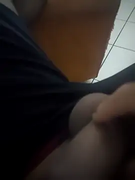 Novin23cms online show from 12.14.25