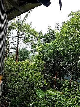 ALIENHR38 online show from 04.26.26