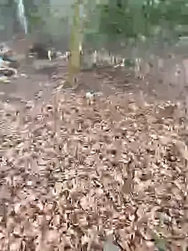 andymatthisbwc online show from 02.25.26