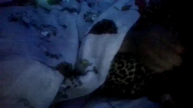 prettymaa online show from 04.28.26