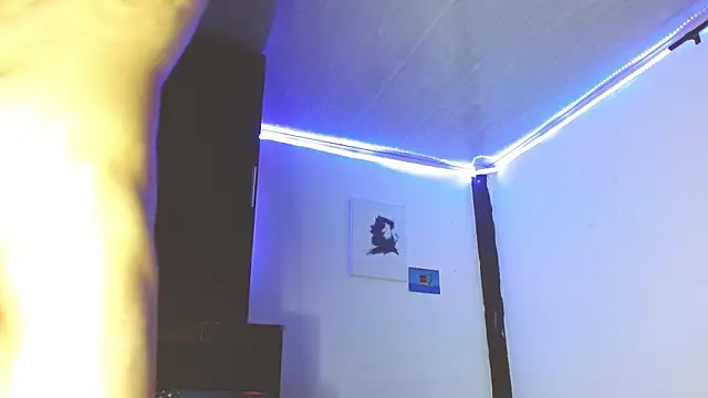 Snapshot of Emil_prl chatting on 11.27.25 Emil prl online show from 11.27.25