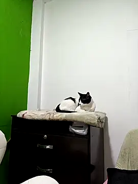 Snapshot of kate_rosse02 chatting on 02.11.26 kate rosse02 online show from 02.11.26