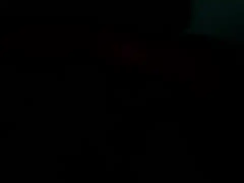 dogslavehf online show from 04.26.26