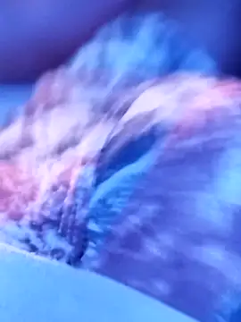 Snapshot of sertaonegro chatting on 11.14.25 sertaonegro online show from 11.14.25