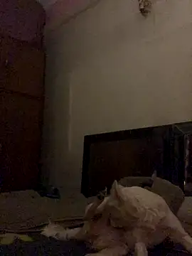 Kajal-Shemale69 online show from 12.16.25