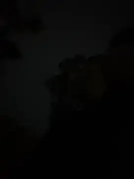 szk2412 online show from 02.16.26